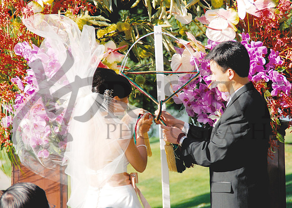 Wedding Day Photos