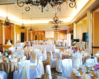 Wedding Day Photos