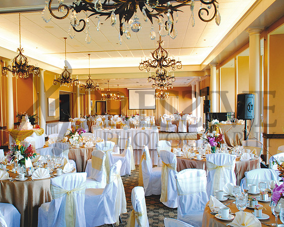 Wedding Day Photos