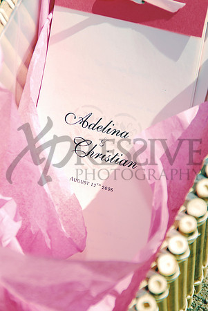Wedding Day Photos