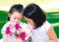 Wedding Day Photos