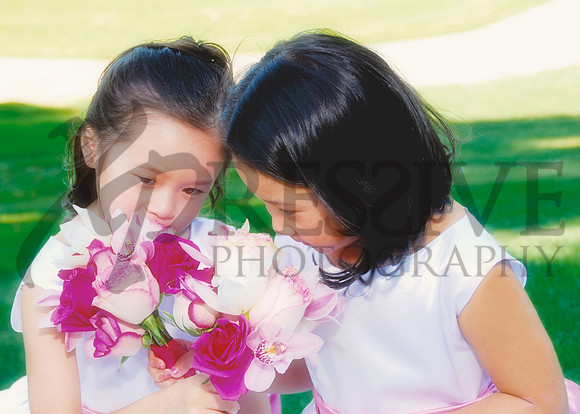 Wedding Day Photos