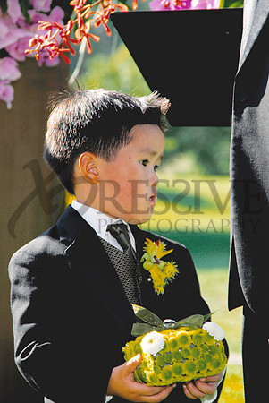 Wedding Day Photos