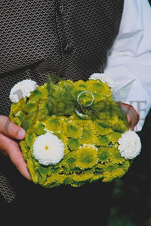 Wedding Day Photos