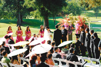 Wedding Day Photos