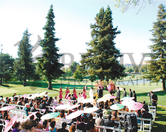 Wedding Day Photos