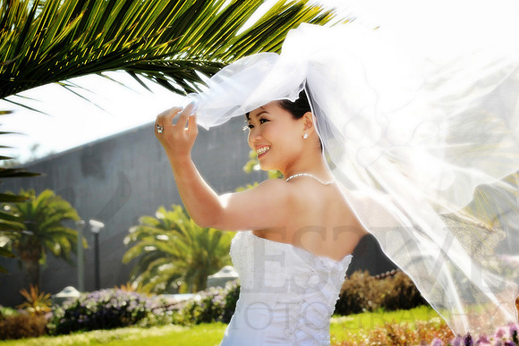Bridal Portraits