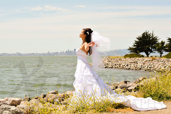 Bridal Portraits