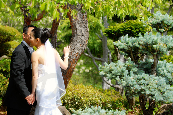 Bridal Portraits