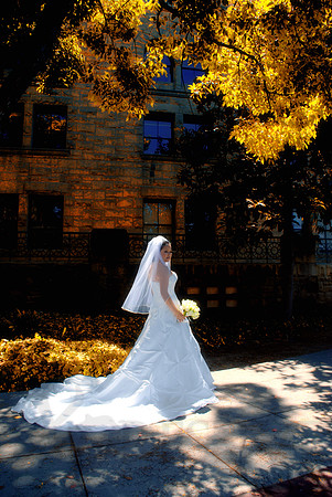 Bridal Portraits