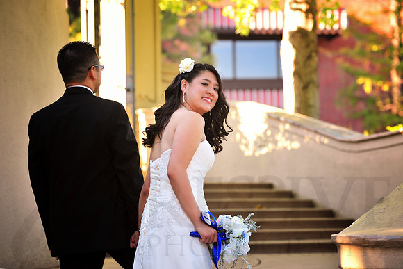 Bridal Portraits