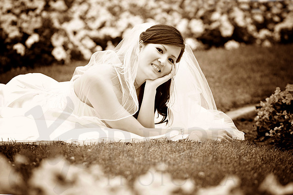 Bridal Portraits