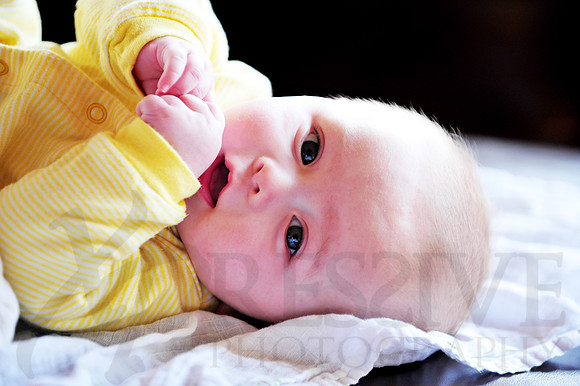 Children and Family Portraits