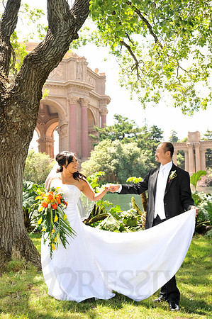 Bridal Portraits