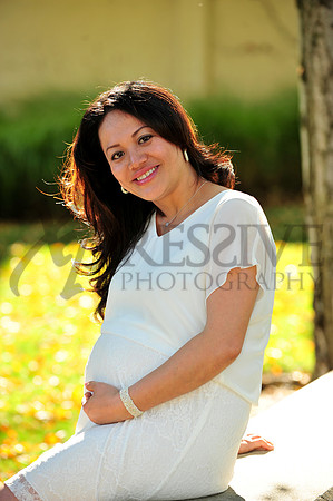 Lynn & Toan's Family 2013