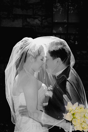 Bridal Portraits