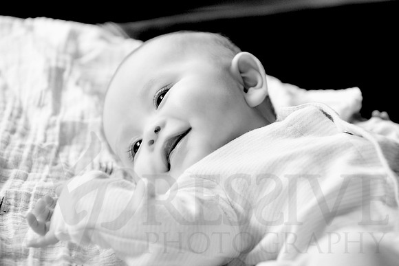 Children and Family Portraits