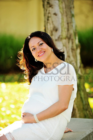Lynn & Toan's Family 2013