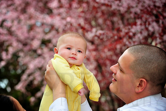 Children and Family Portraits