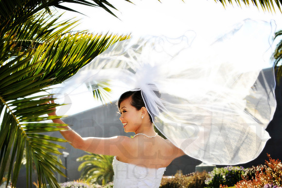 Bridal Portraits
