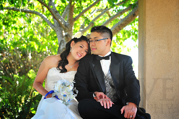 Bridal Portraits