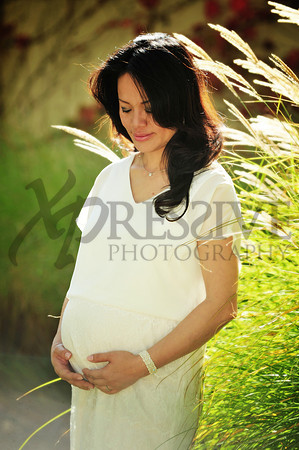 Lynn & Toan's Family 2013