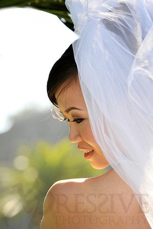 Bridal Portraits