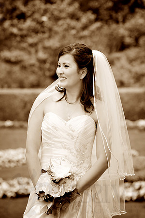 Bridal Portraits