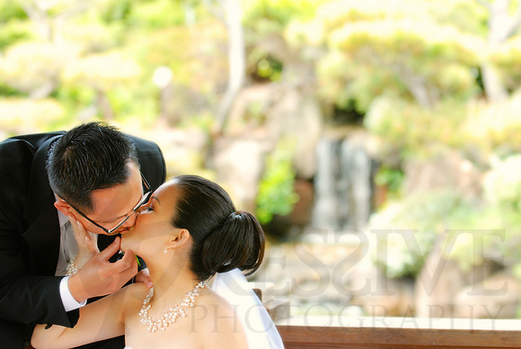 Bridal Portraits