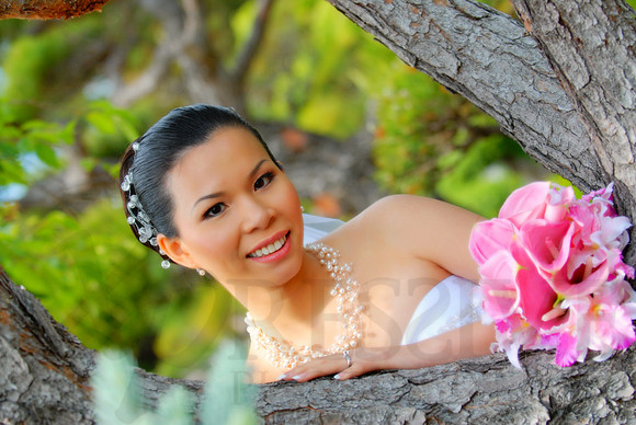 Bridal Portraits