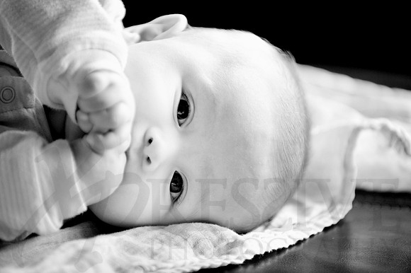 Children and Family Portraits