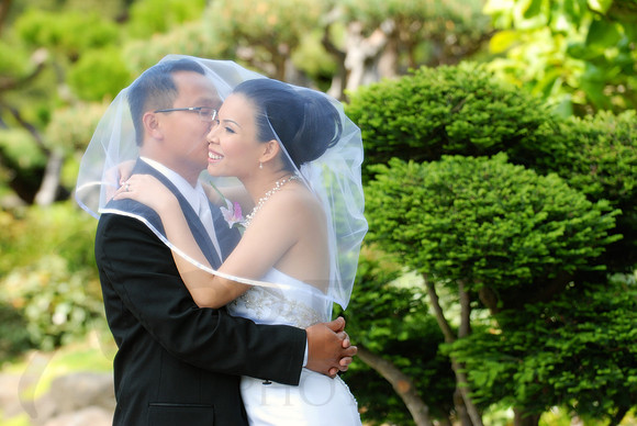 Bridal Portraits