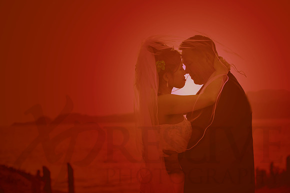 Bridal Portraits