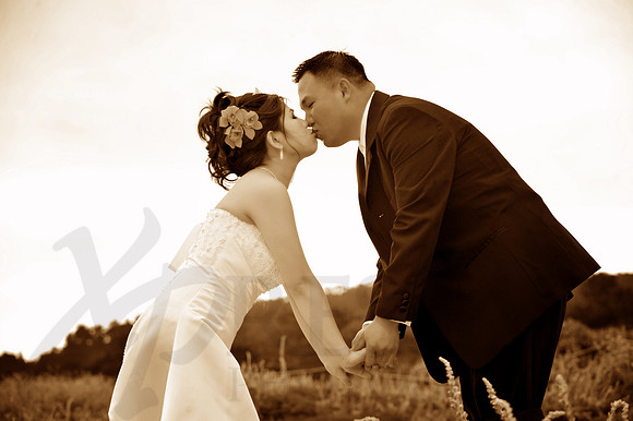 Bridal Portraits
