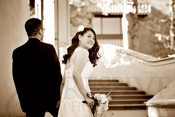Bridal Portraits