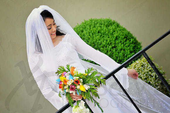 Bridal Portraits