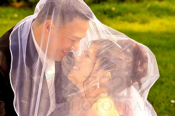 Bridal Portraits
