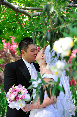 Bridal Portraits