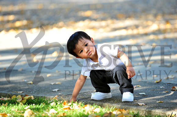 Lynn & Toan's Family 2013