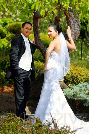 Bridal Portraits