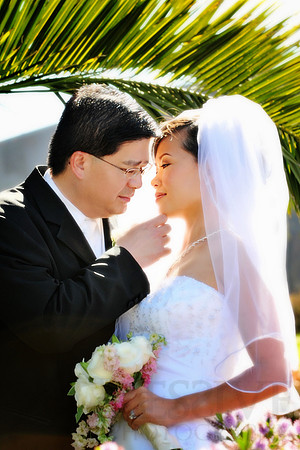 Bridal Portraits